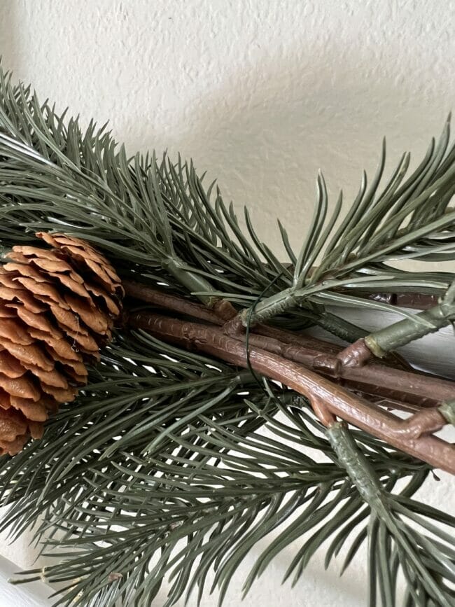 close up of tree stems and wire