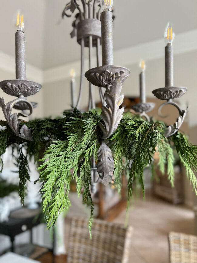 close up of fresh greenery hanging on chandelier