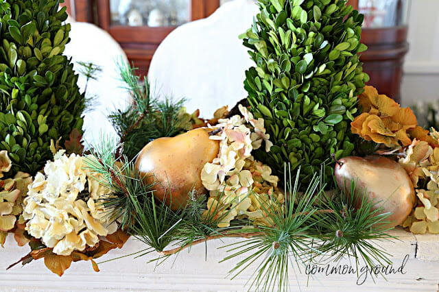 gold pear, boxwood in centerpiece