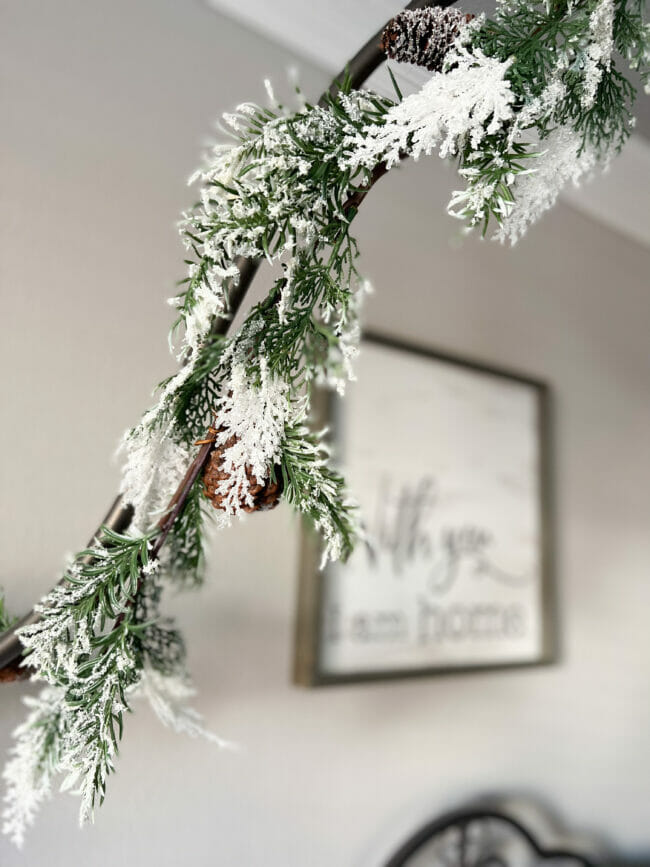 close up of frosty garland