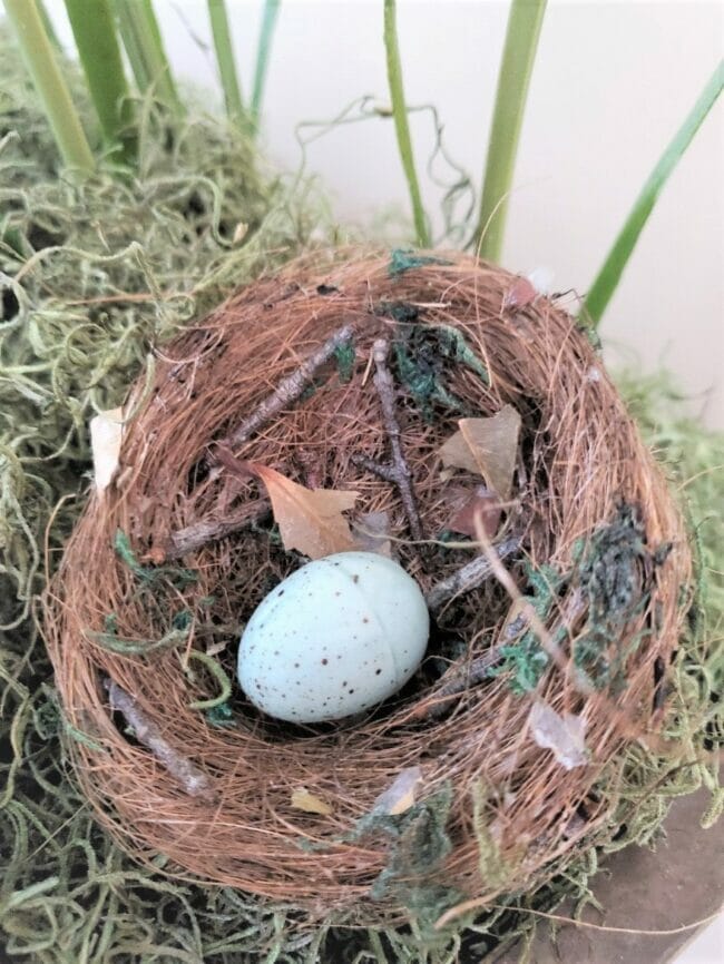 handmade nest with blue speckled egg inside