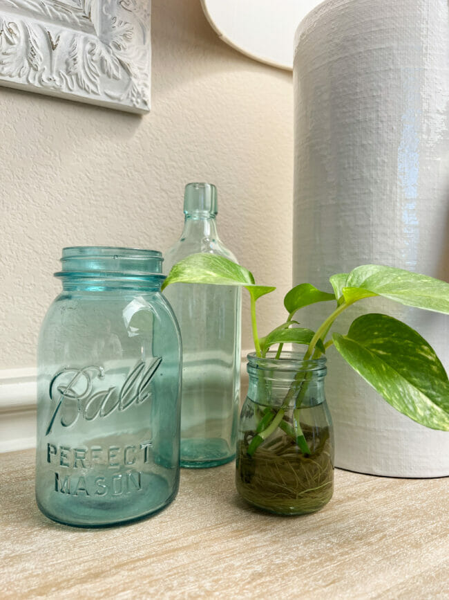 spring vignette with blue bottles and plant