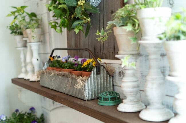 white candlesticks with plants on top and a galvanized caddy with plants in pots