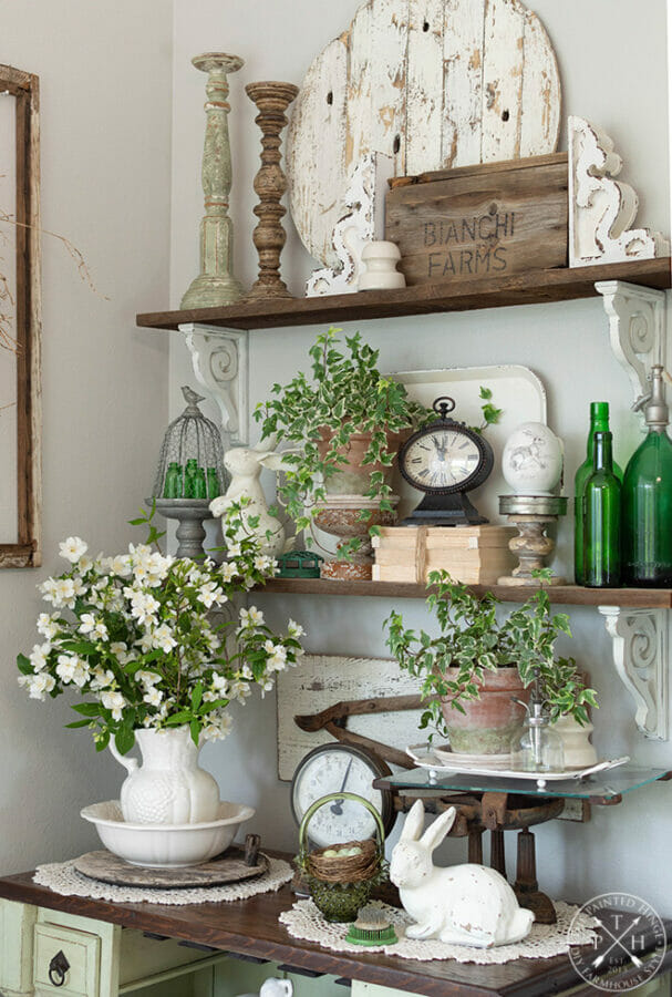 open shelves with green bottles, scales, and greenery