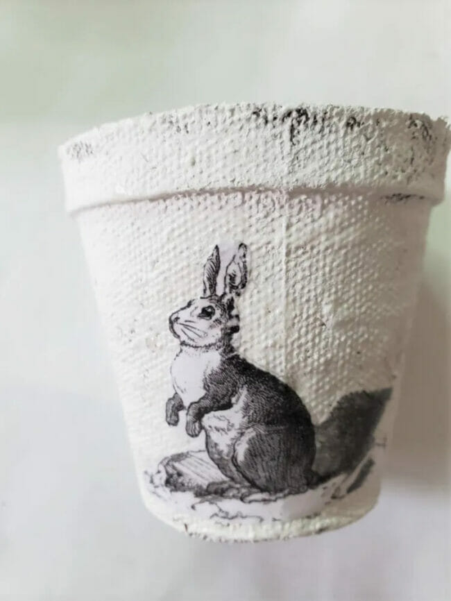 white pot with rabbit