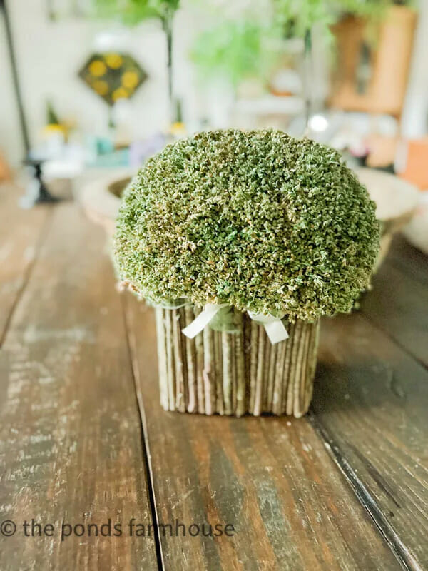 moss arrangement sitting on table