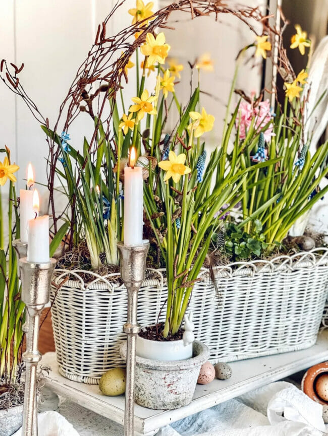 white basket with live plants and candles