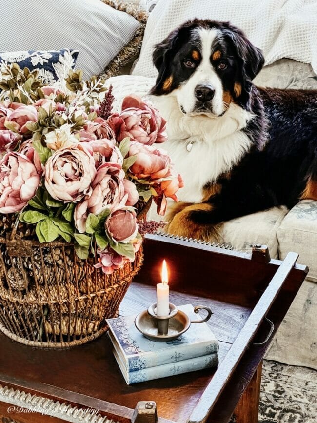 large dog with floral bouquet