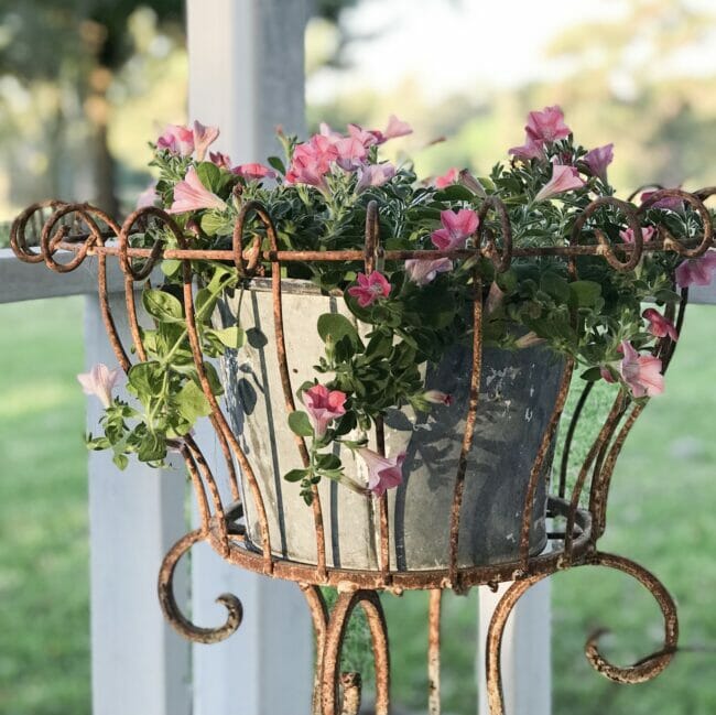 galvanized bucket with pink flowers sitting inside a rusty plant holder