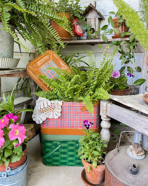 vintage gardening items with a green basket, fern and a pink plaid container