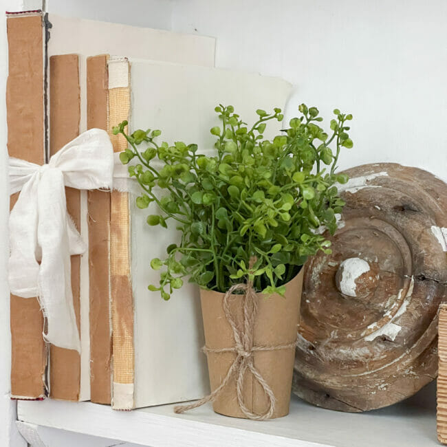 vintage white books tied with cloth, small plant and old wooden piece