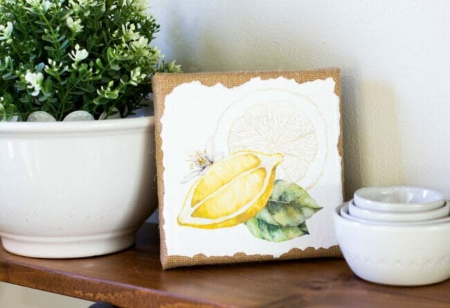 lemon photo on canvas