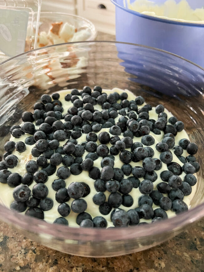 blueberries on top of creamy pudding