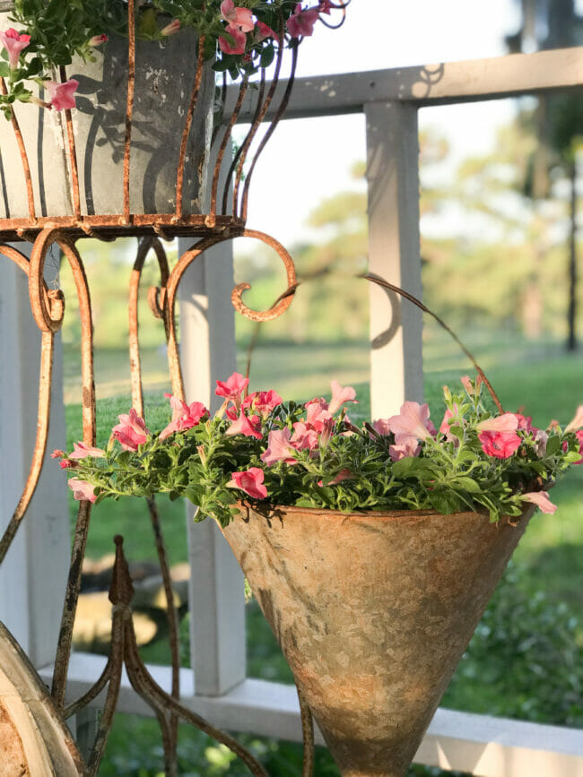 pink flowers and cone shaped bucket hanging on old rusty planter