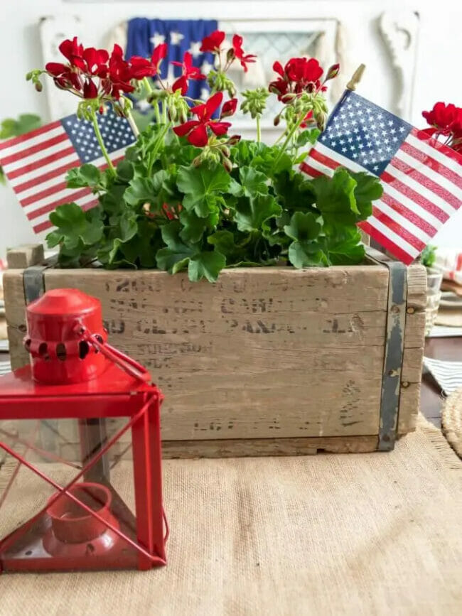 plant inside vintage box with flags and red lantern
