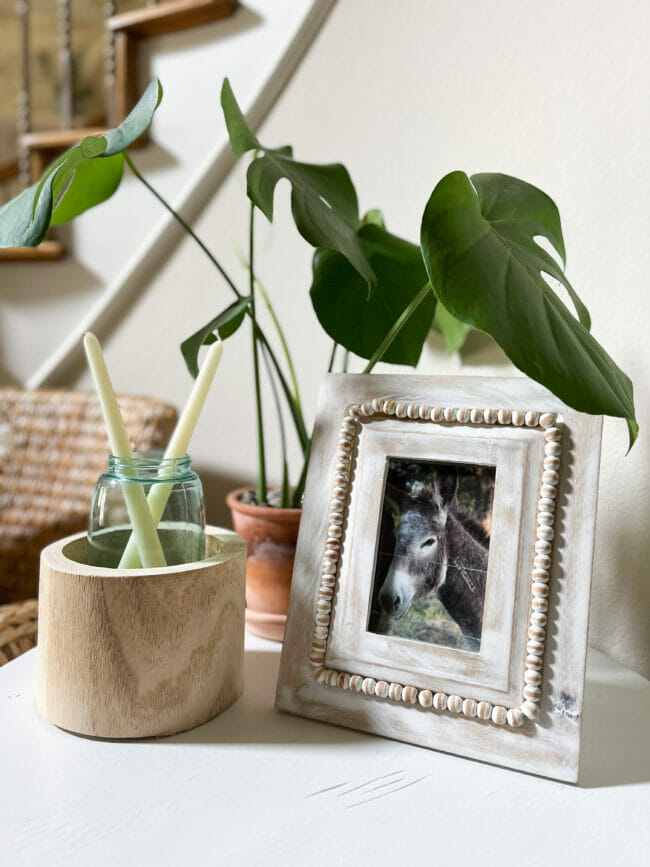 plant, frame with donkey and candles in blue jar