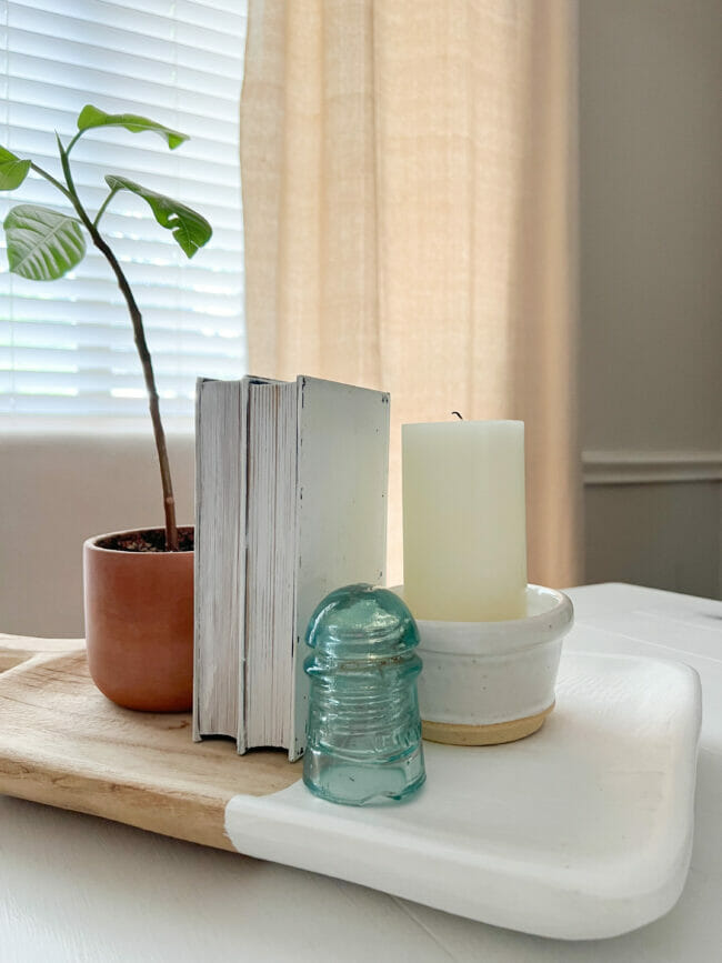 plant, white books, candle, and blue transformer on table