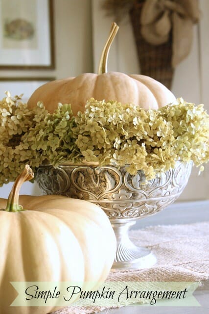 silver bowl with pale orange pumpkin and hydrangeas