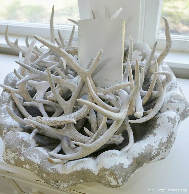 large concrete bowl full of white antlers