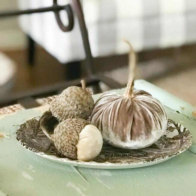 Velvet acorns and mini pumpkin in toile plate