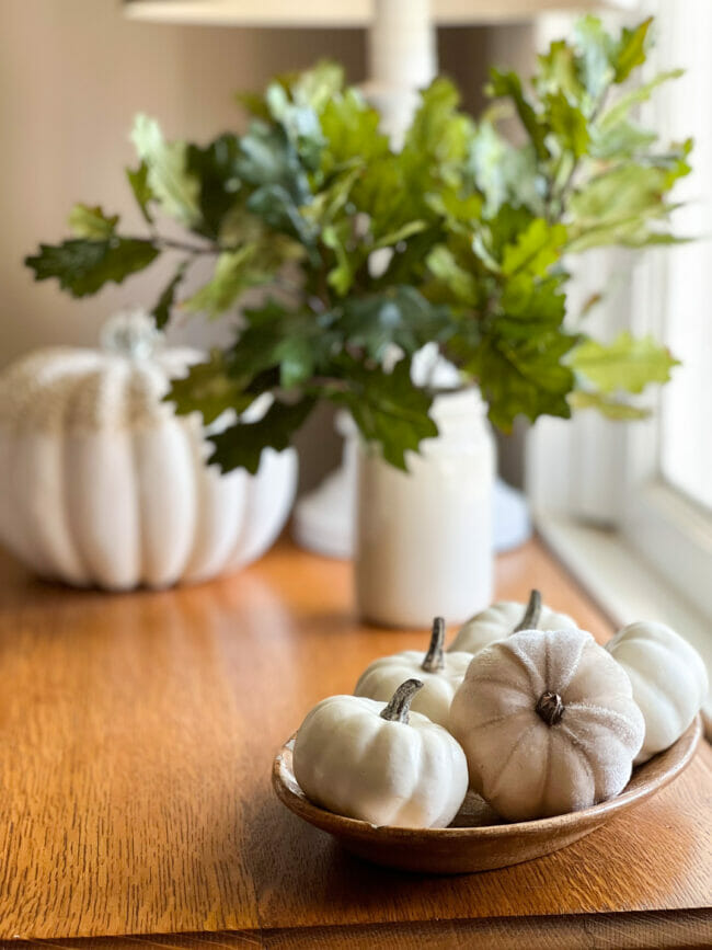 white pumpkins with dark green leafy stems in white jar