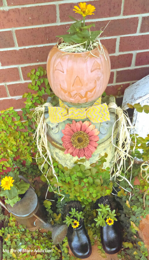 colorful plants and scarecrow made from vintage milk can
