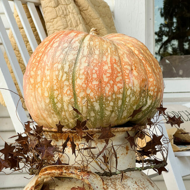 pumpkin on top of milk can