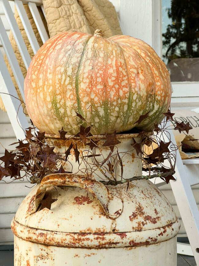 multicolored pumpkins sitting on vintage milk can