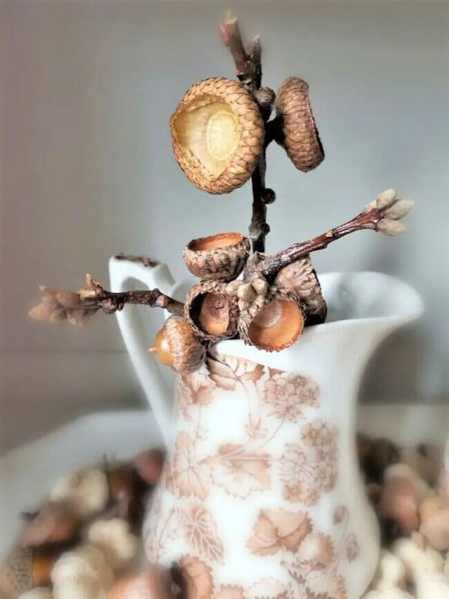 white and brown ironstone pitcher with acorns on sticks