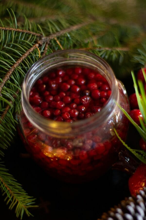 glass jar of fresh cranberries and Fir stems