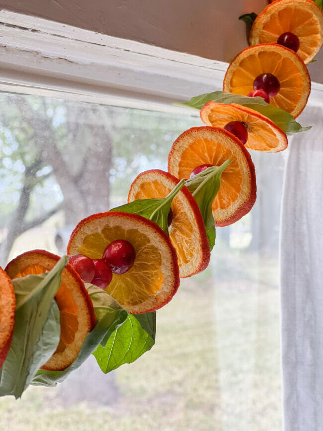 cranberry, orange, basil garland hanging on window