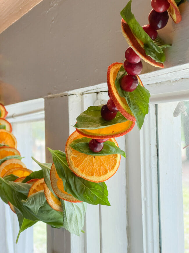 string of cranberries, orange slices and basil leaves hanging on window