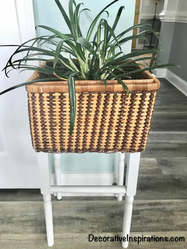 picnic basket table with plant inside