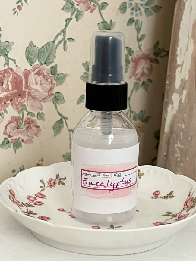 spray bottle sitting on rose plate