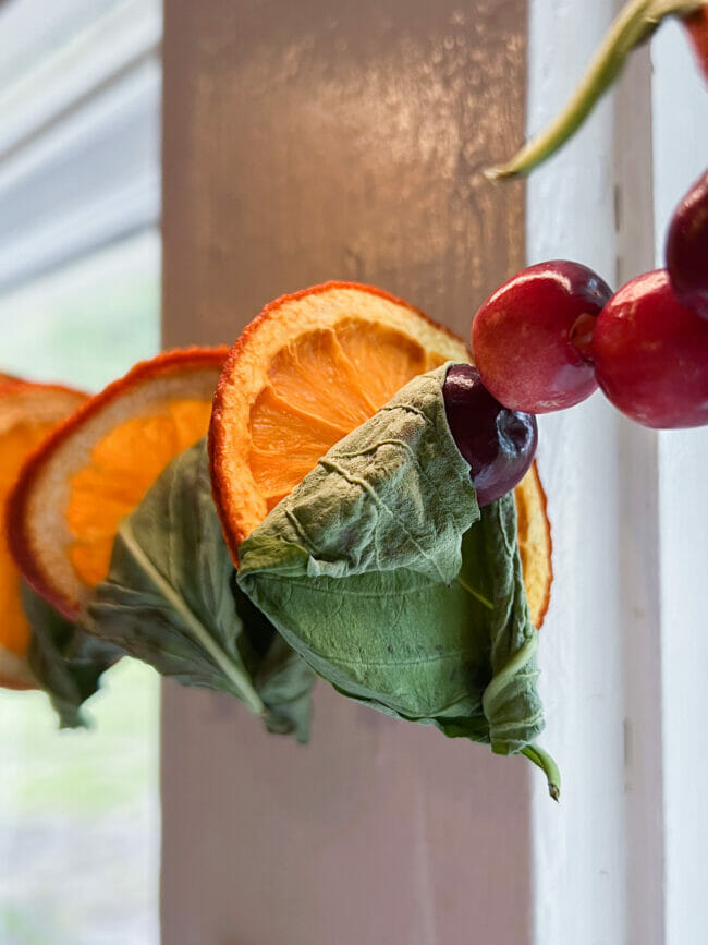 orange slice, shriveled up basil and cranberries