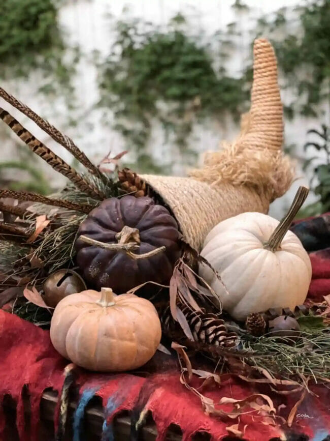 cornucopia with feathers and pumpkins