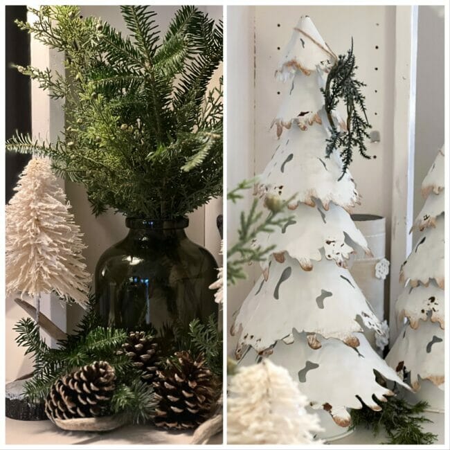 collage of white trees and green stems with pinecones