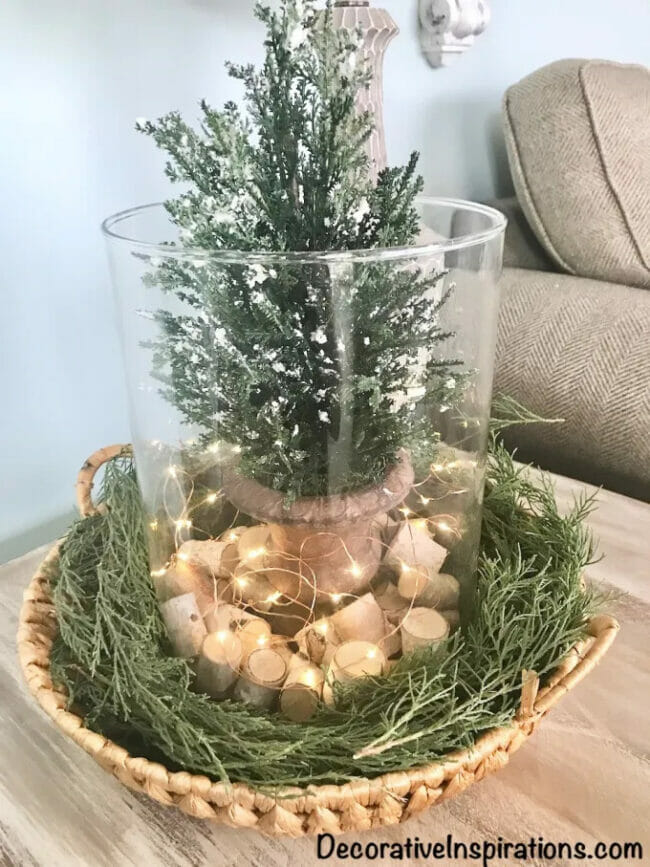 small green tree in clear case with fairy lights and wood pieces
