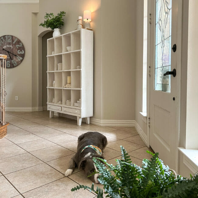 entry with white cubby shelf and dog laying by front door