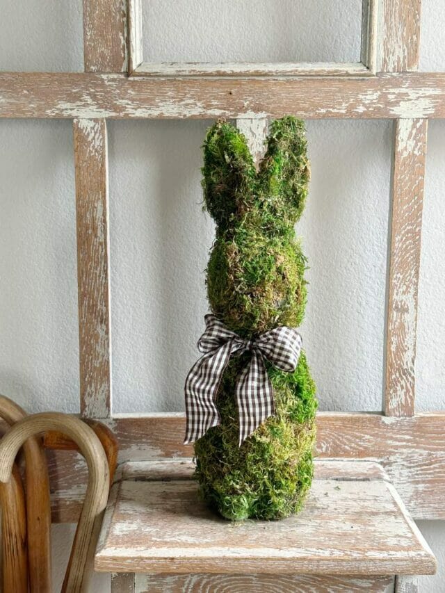 moss bunny 