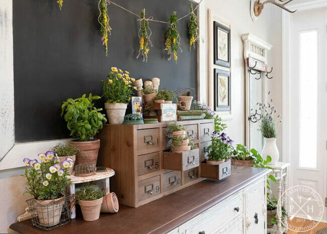 cubby drawers with plants, seed packets and clay pots