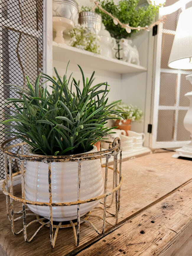 antique iron basket with potted plant