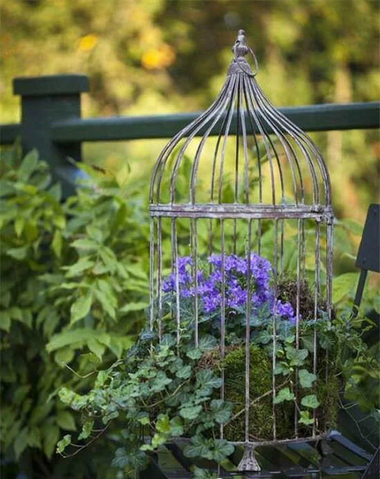 birdcage in garden with blue flowers