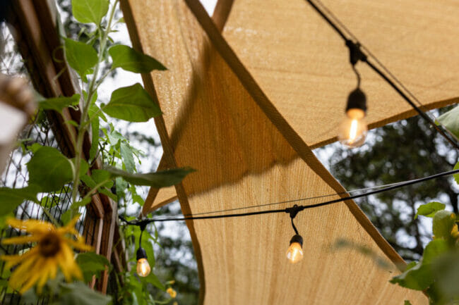 sun shades with green vines and sunflower