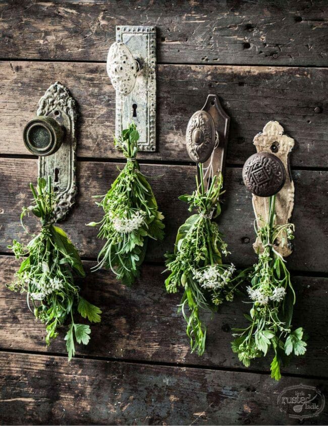 4 old door knobs hanging with dried flowers