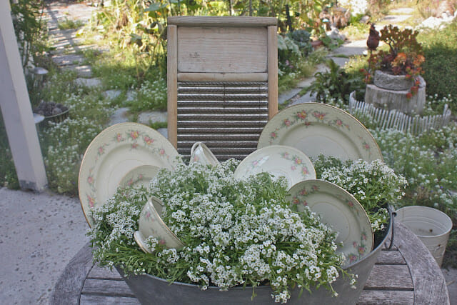bucket with antique dishes and white flowers