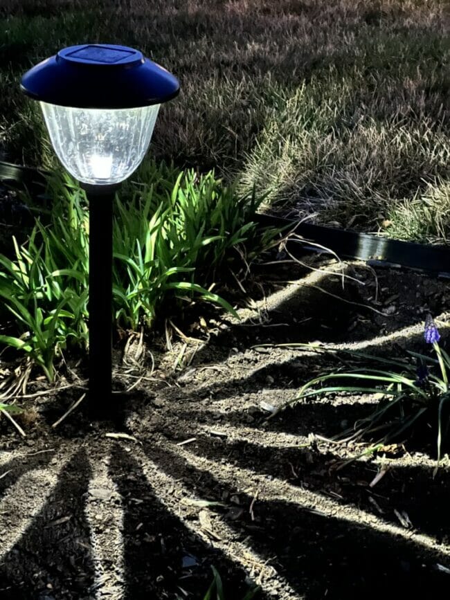 solar light in dirt