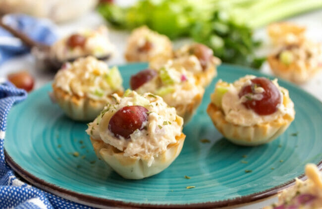 chicken salad on blue plate