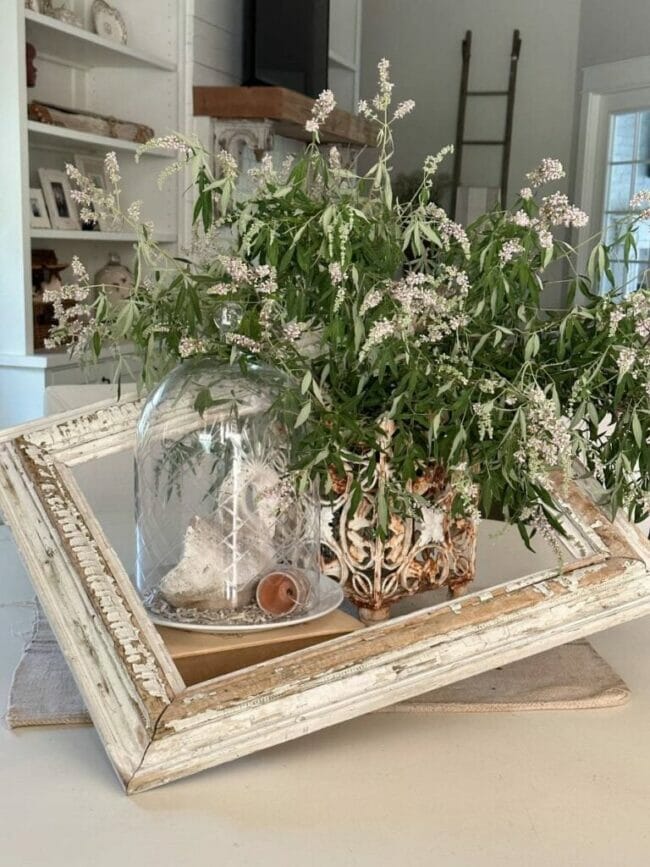 plant on table with frame and cloche as a centerpiece
