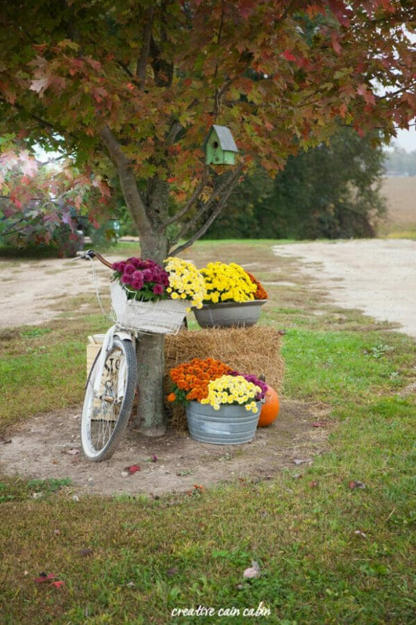 white bike and mums under tree